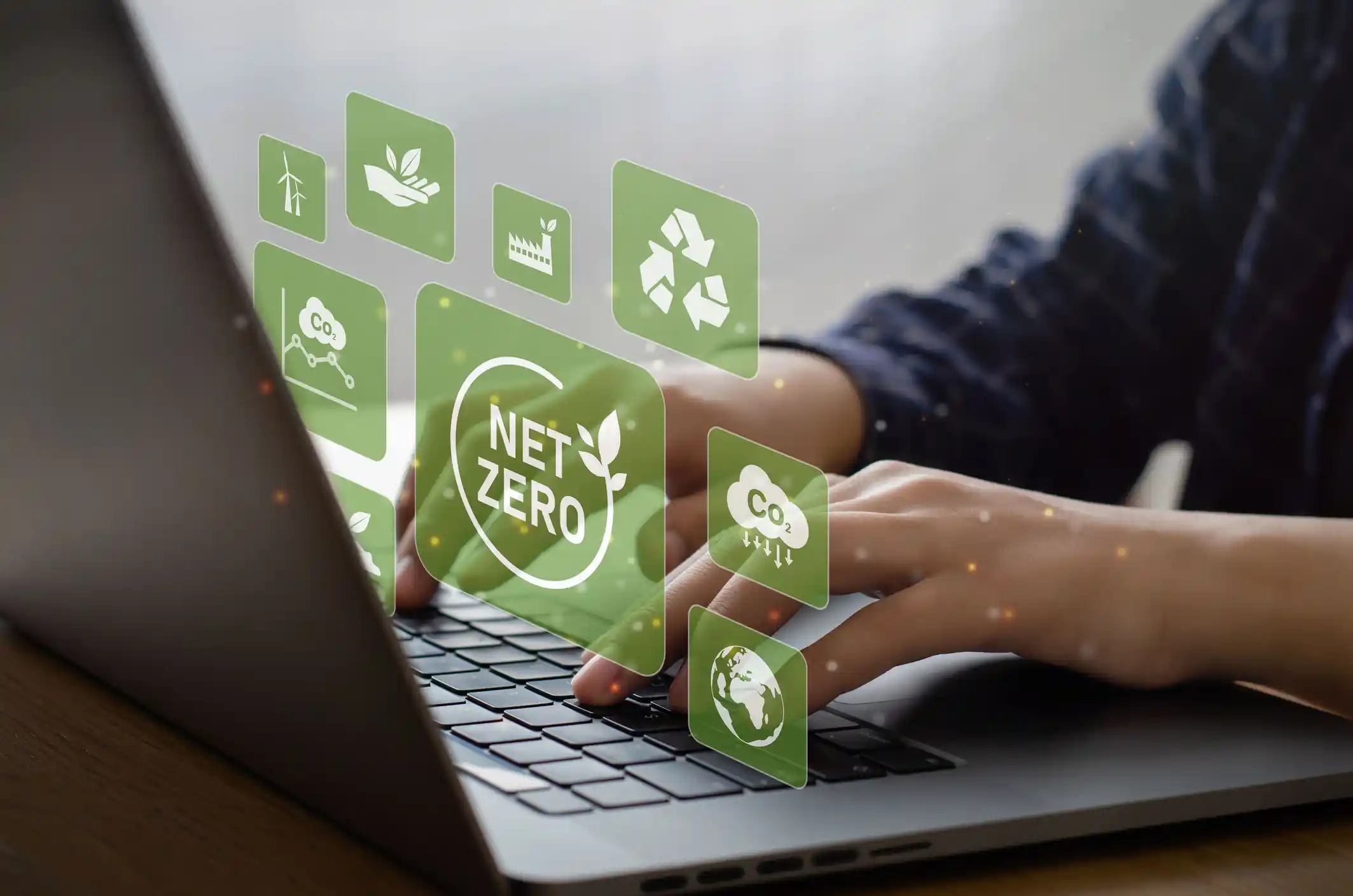 net zero carbon neutral